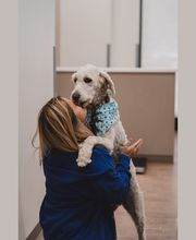 Caring Hands Animal Hospital - Suffolk image 15