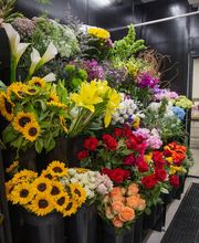 In Bloom Florist - Lake Mary image 11