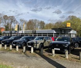 Autohaus König Frankfurt/Oder Bild 2