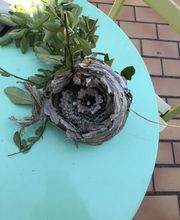 Ratoucy SAS image 14