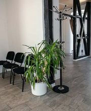 Physio am Bahnhof Bianca Plate Bild 3