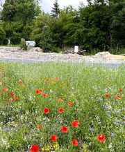 Naturgarten Werk Marc Styger Bild 10