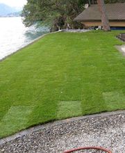 Rasenpflege von HJB Garten GmbH