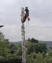 Tannen-Müller GmbH Bild 7