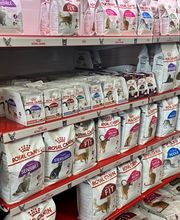 Qua la Zampa di Alessia Milani Termini Bild 12