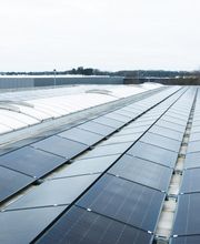 Tiger Energy Project GmbH Bild 4