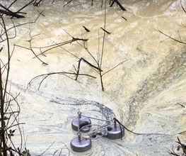 Ama Environnement image 16