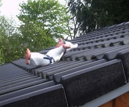 Hutz Dachdecker GmbH Bild 3