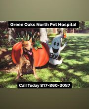 Green Oaks North Pet Hospital image 9