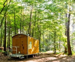FriedWald Cloppenburg Bild 15