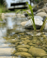 Müller Gartengestaltung GmbH Bild 4