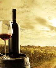 Wines Contact imagen 8