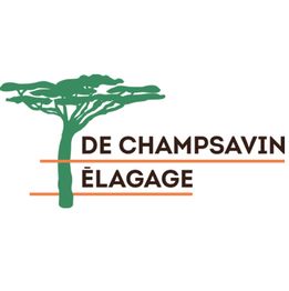 DE CHAMPSAVIN ELAGAGE