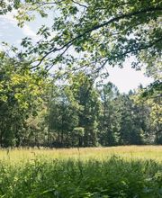 Blick aus dem Wald auf die Lichtung mit dem Andachtsplatz.