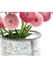 Les Serres De Boralde image 2