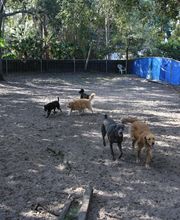 Oakhurst Veterinary Hospital image 3