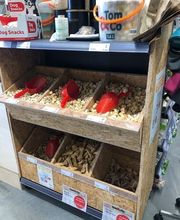 Tom&Co Saint-Gilles-Croix-De-Vie image 4