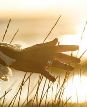 Alicia Navarro Psicóloga imagen 8