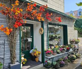 Anna Binar Floristik Bild 1