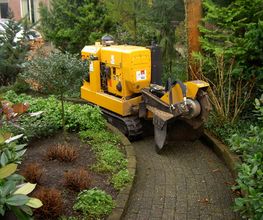 Boomverzorging Bouwmeester