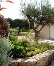 Créat Jardin image 6