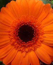 France Rurale image 2