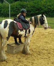 Les Poneys de Monthoiron image 13