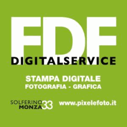 Fdf Digital Service logo