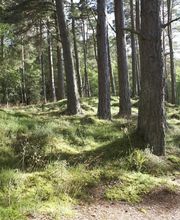 Forstgut Eickhof Bild 5
