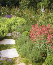 Hacker Jürgen Bild 6