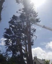 Rs Multiservices image 1