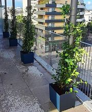 Cumbres Espace vert image 7