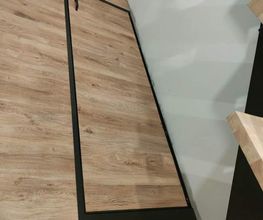 SL Concept image 5
