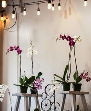 In Bloom Florist - Lake Mary image 16