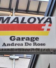 Garage De Rose David Bild 1