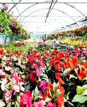 Gadroy Vincent image 2