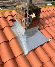 PBM Carvalho image 10