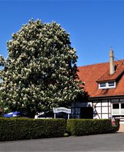 Landgasthaus Zum braunen Hirsch Christian Aue Bild 4