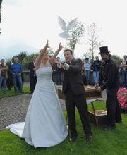 Hochzeitstauben Burlet Bild 3