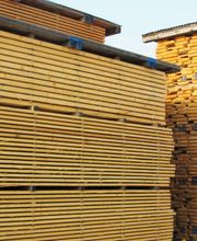 HedingerHolz AG Bild 3