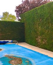 Brian Gibbs image 17