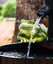 Alters- und Pflegeheim Sunneschyn Bild 5