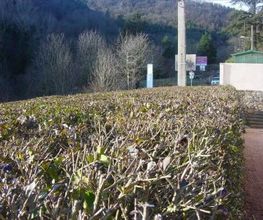 Jardins Et Maisons image 18