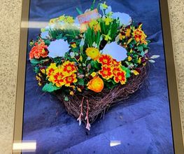Blumen Petermann Bild 7