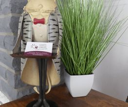 Tierhotel Leinfelder Bild 3