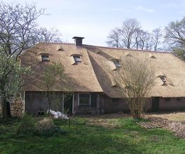 Ginkel Rietdekkersbedrijf Reinald van
