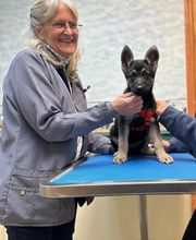 Mills River Animal Clinic image 8