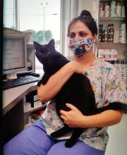 Wayne Heights Animal Hospital image 10