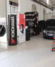 Gallery Cliente
