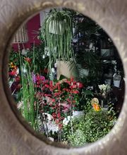 Decors Arts Fleurs image 10